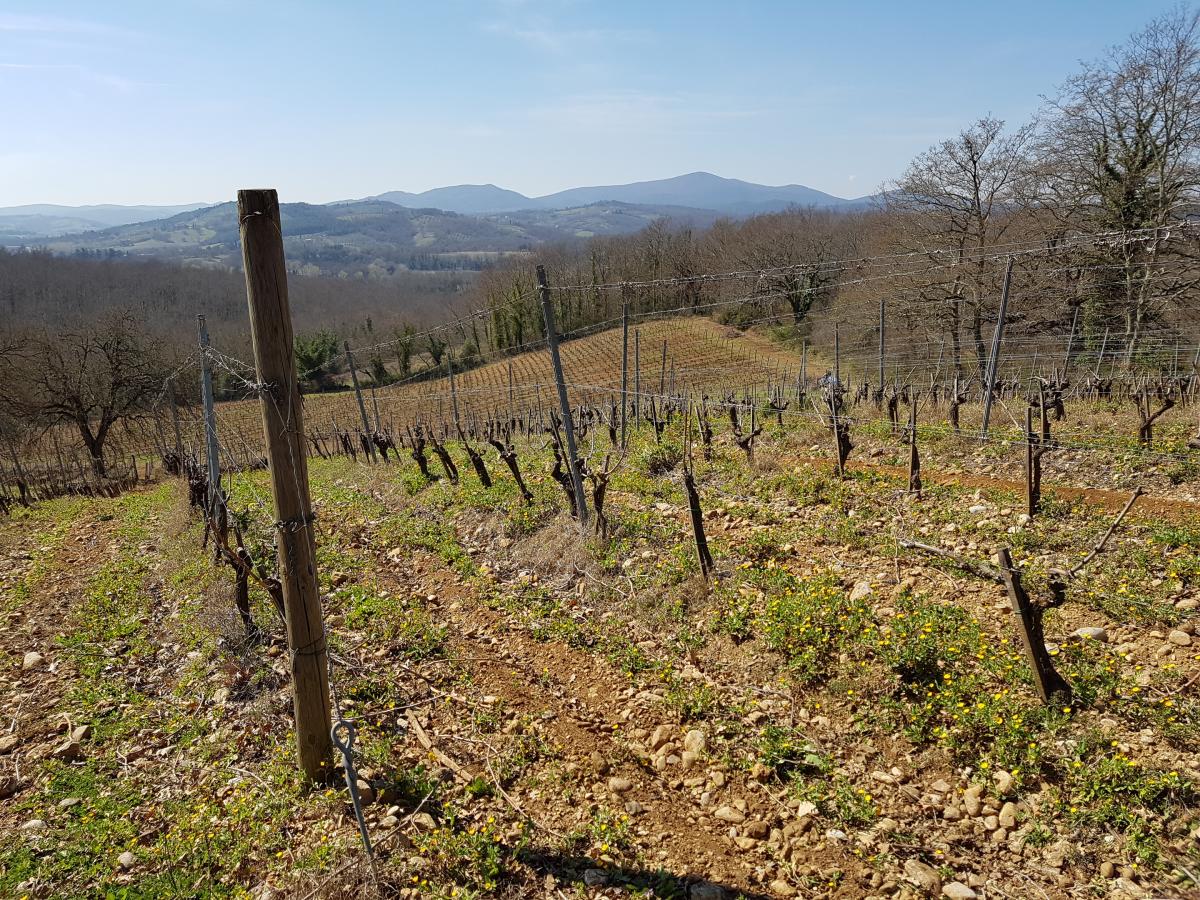 Il Civettaio: Montecucco biologico e non solo