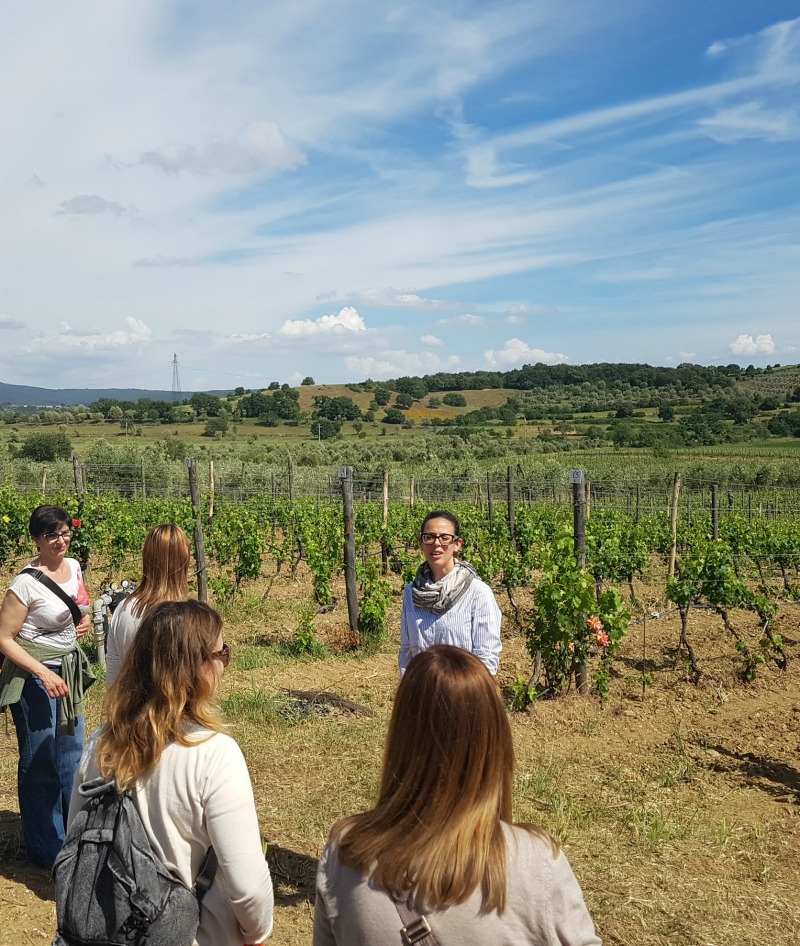  “L’altra Toscana” - Val di Cornia e Suvereto