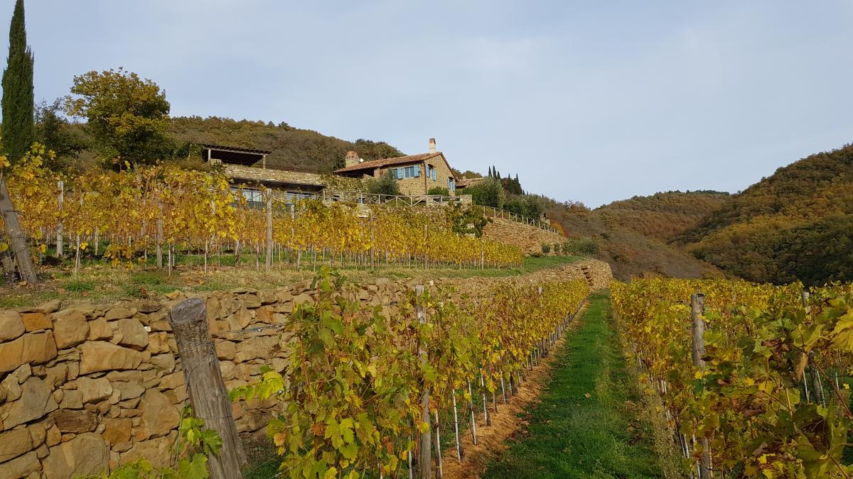 Il Tagliato: una terrazza sul Chianti Classico