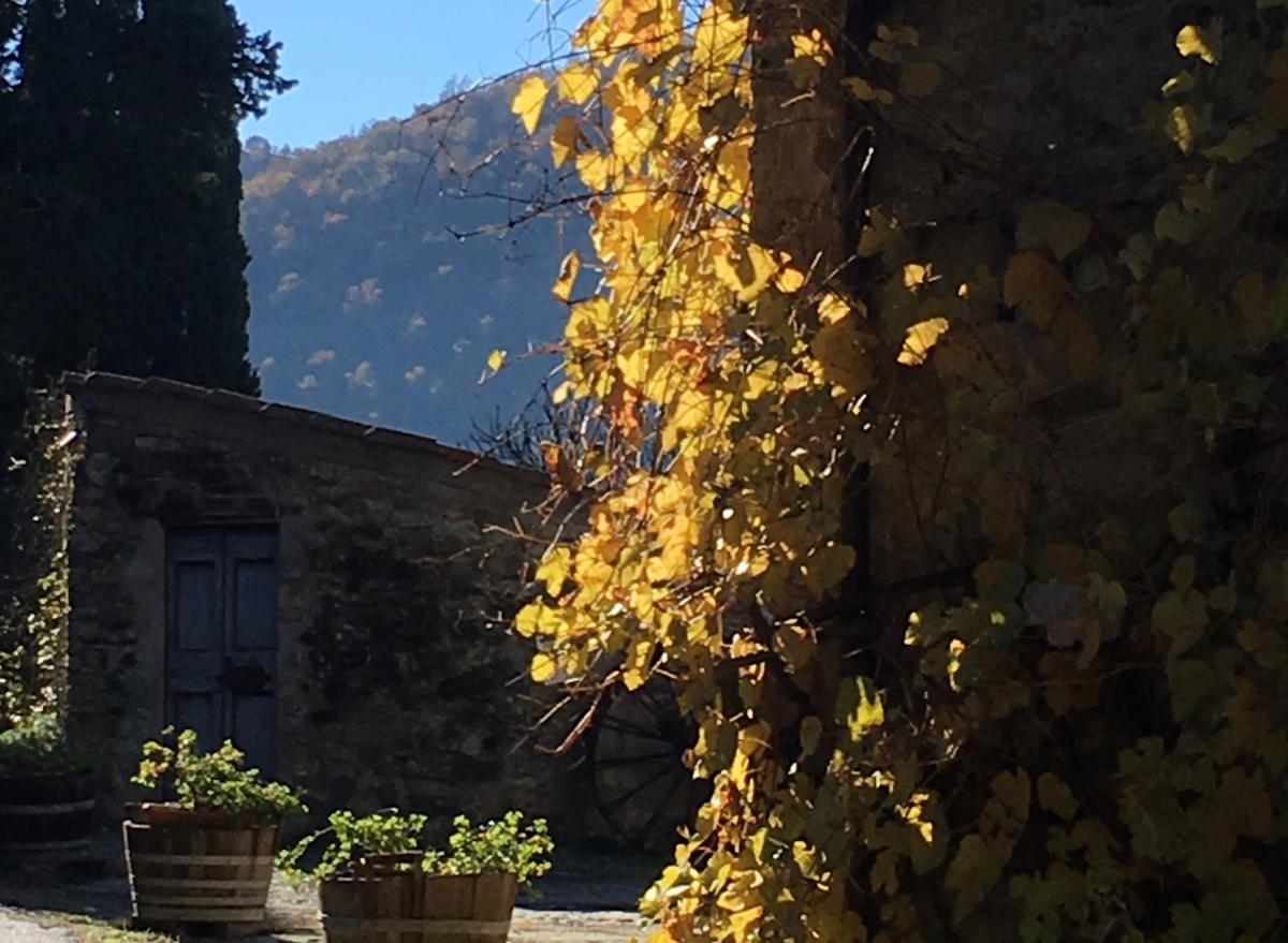 Piccolo (e alto) mondo antico: Il Sangiovese in punta di piedi del Chianti Rufina