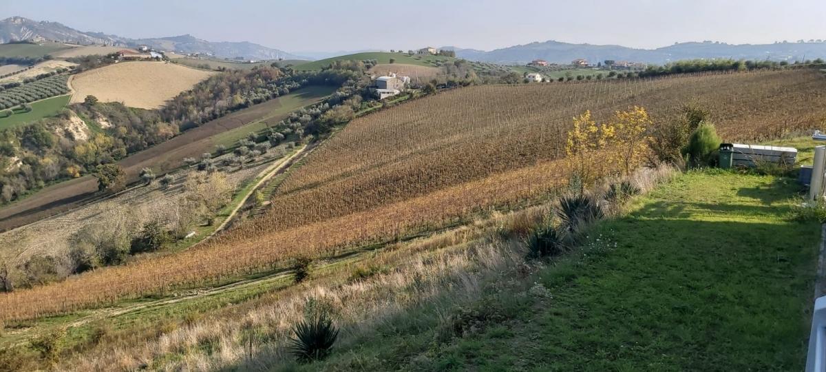 Degustazione emozionale fra mare e montagna:  gli autoctoni d’Abruzzo