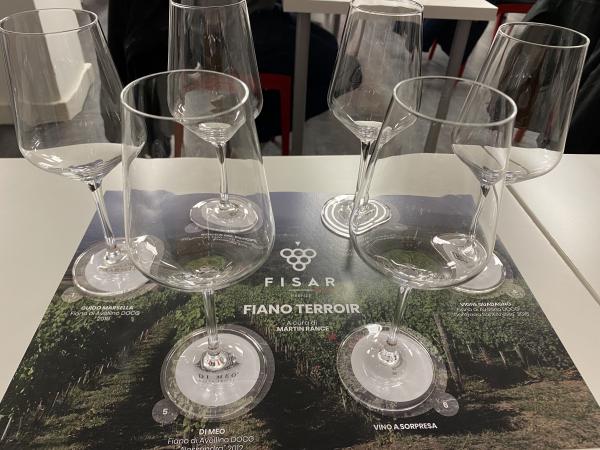 Quello che gli altri non dicono: i terroir del Fiano
