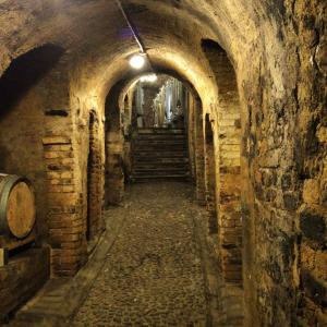 Alla scoperta del Barolo, e non solo ….weekend nelle Langhe