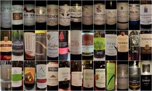 L'evoluzione della specie (e poi dite che non ve lo avevo detto)