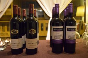 Un assaggio di Sud Africa all’enoteca Enotria