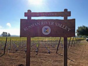 A spasso per la Contea di Sonoma