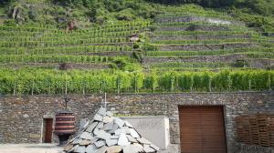 Tradimenti mancati e ritrovato amore in Valtellina