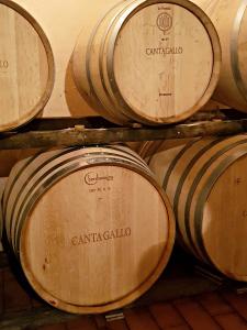 Montalbano: Il fratello meno noto del famoso ispettore