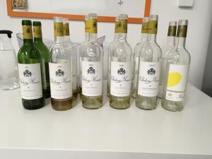 Château Musar, alle origini della viticoltura