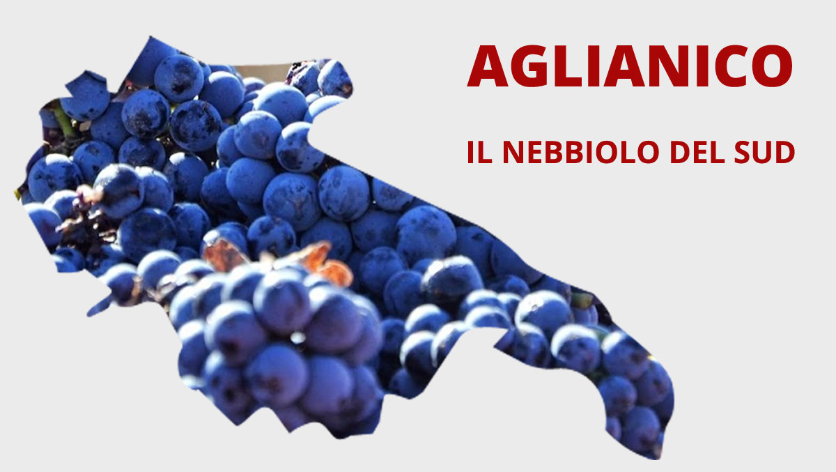 Alla scoperta dell'Aglianico: il nebbiolo del sud