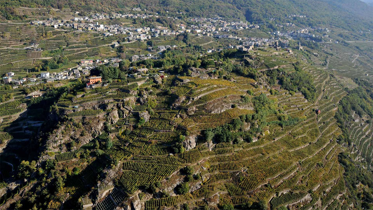 L'Altro Nebbiolo