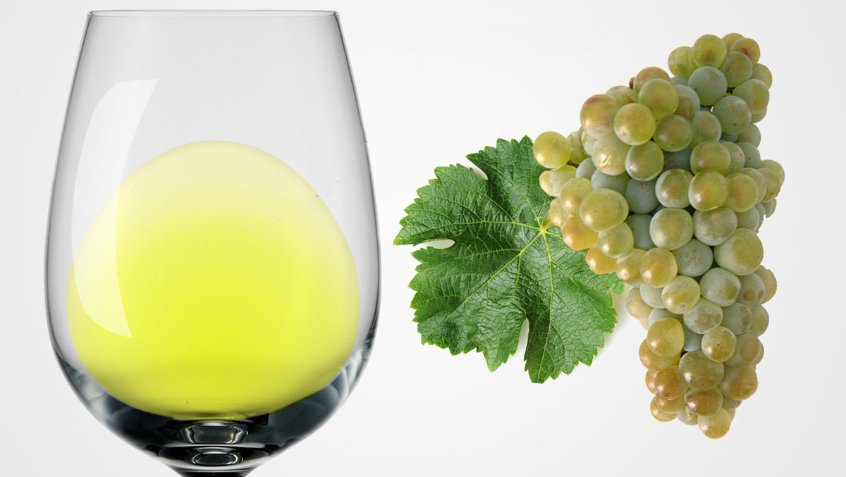 Sauvignon Blanc: Italia vs Francia