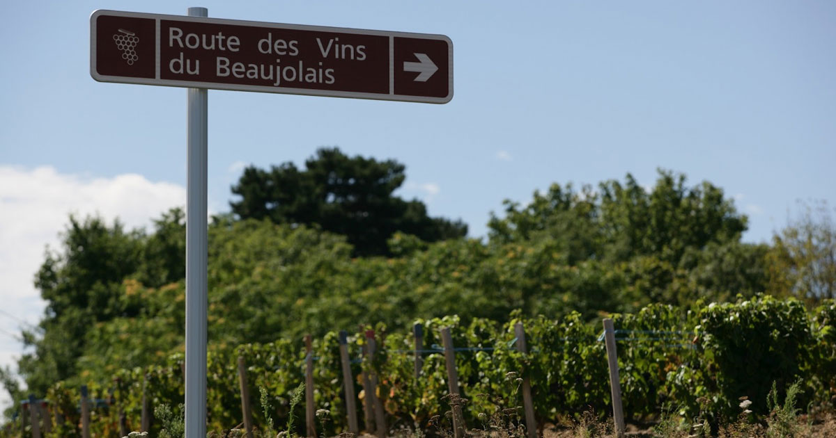 Les beaux jours du Beaujolais