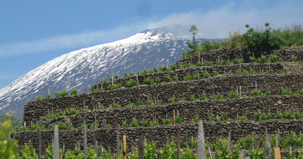 I vini del vulcano