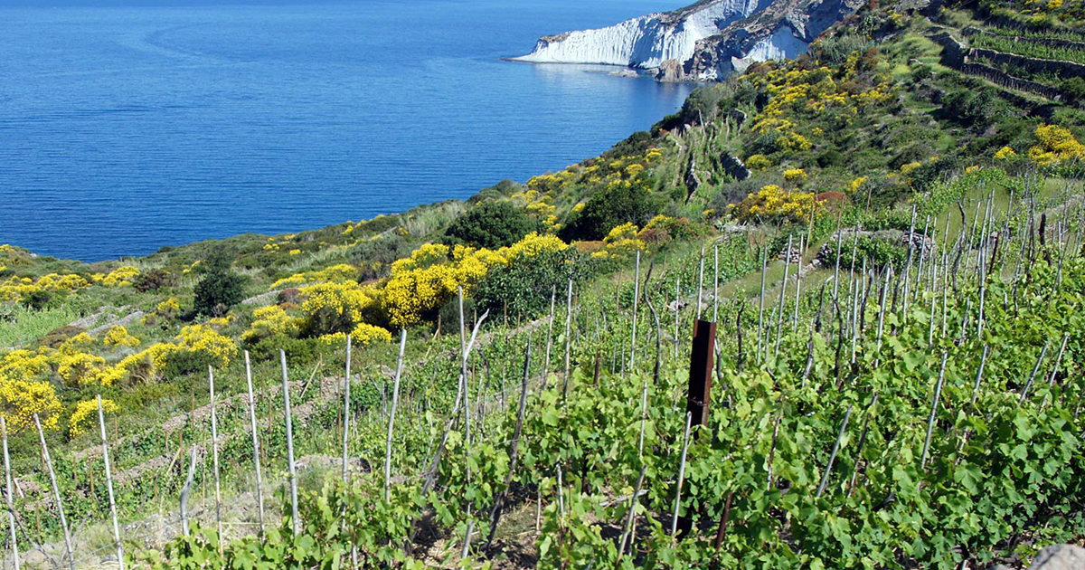 Mare Nostrum: i vini delle piccole isole