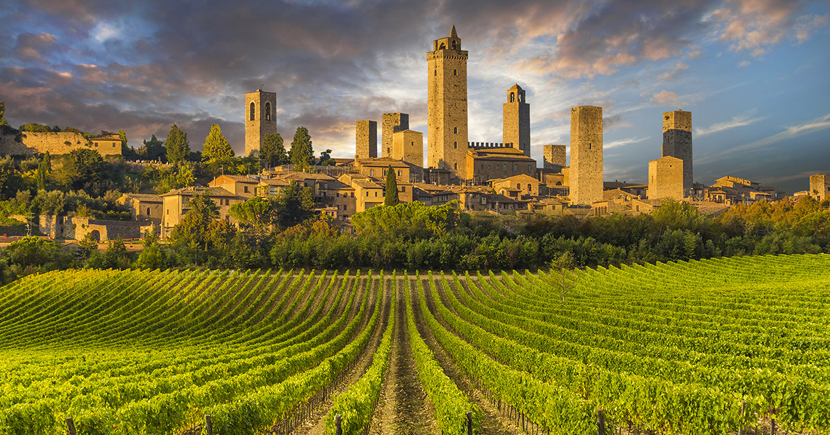 Vernaccia di San Gimignano: bianco di Toscana