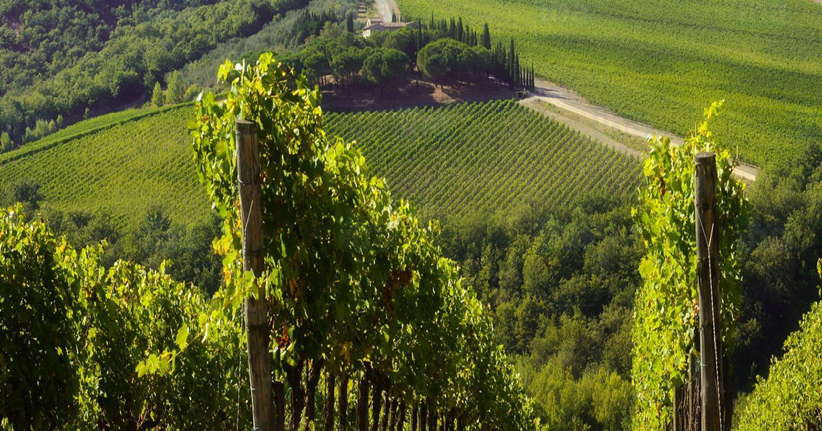 Seminario in tre serate sul Chianti Classico