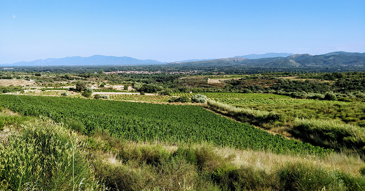 Roussillon: il risveglio del gigante BIS