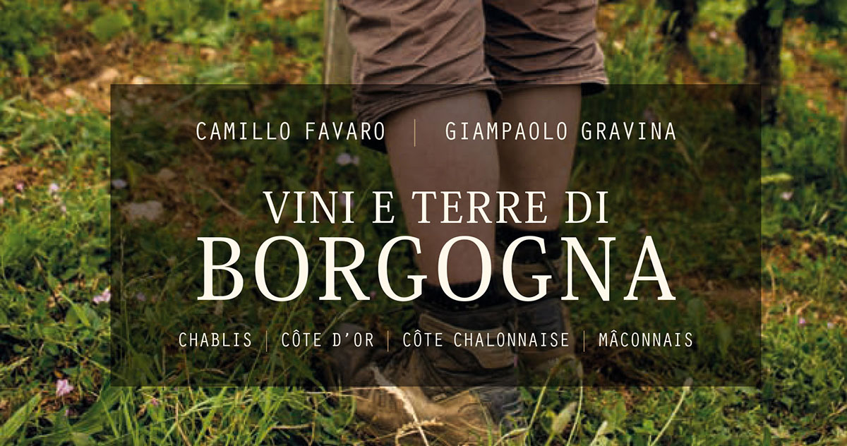 Vini e Terre di Borgogna