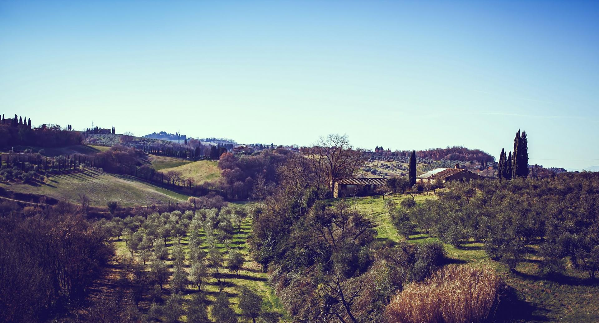 Il vino è natura