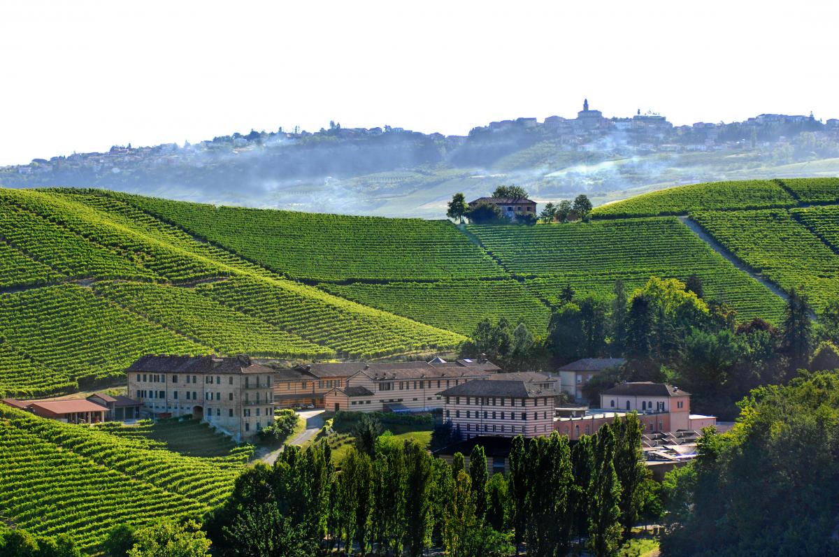 Piemonte - Fontanafredda