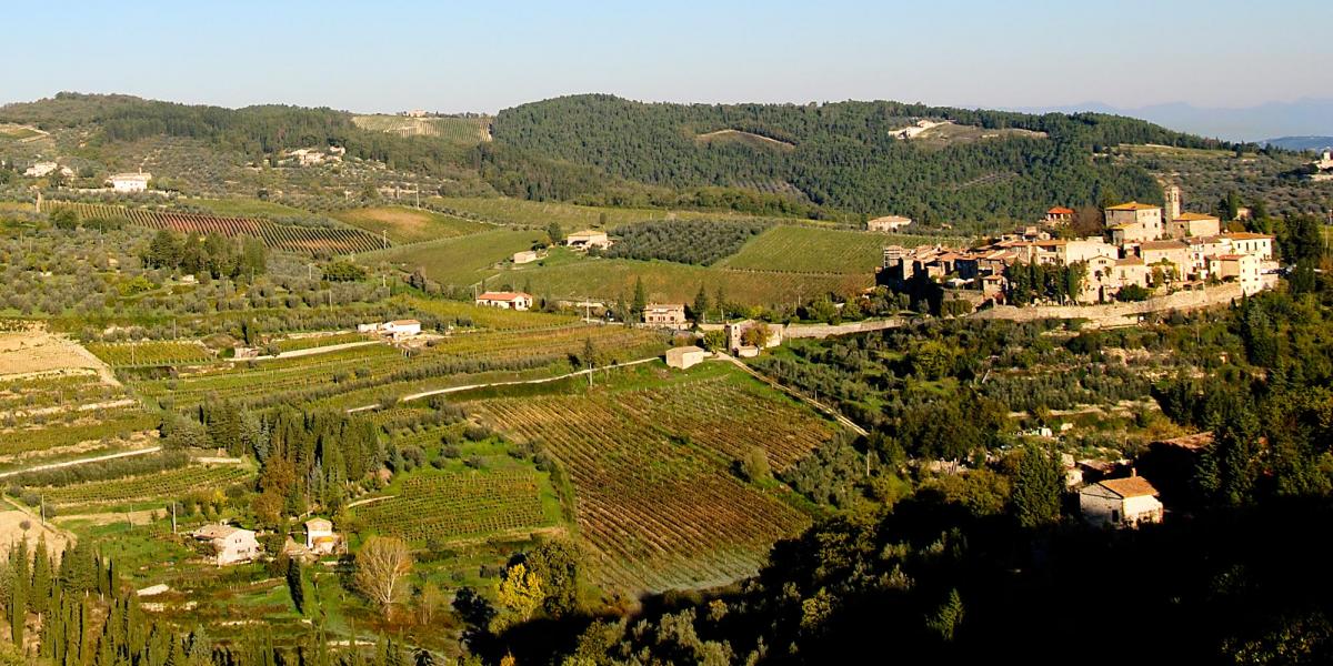 Azienda Agricola Montefioralle - Cena con degustazione