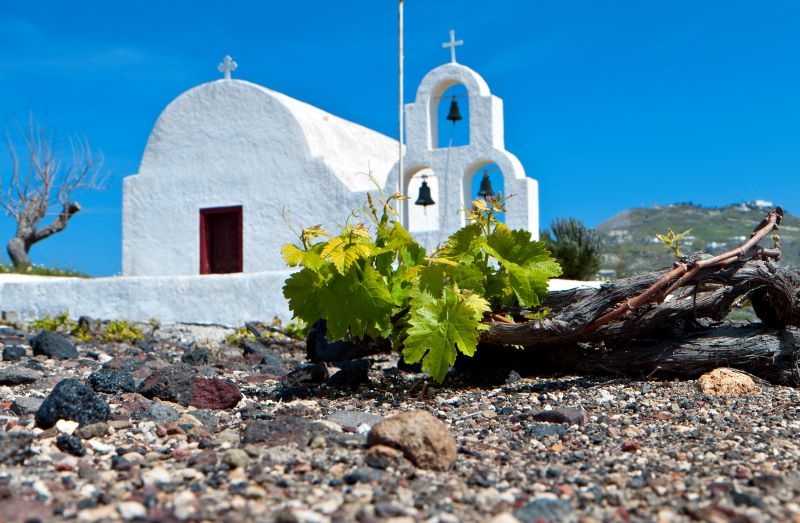 GreekWineDay: alla scoperta del vino greco