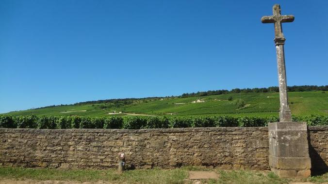 Nel cuore della Borgogna - Gita