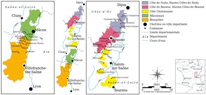 Bourgogne mon amour - Seminario