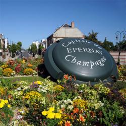 Nel cuore dello Champagne - Gita