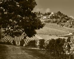 Convivio d'Inverno - Castello di Verrazzano 