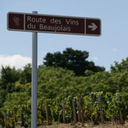 Les beaux jours du Beaujolais