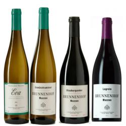 Brunnenhof - Cena con Degustazione