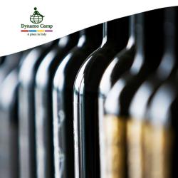 50 Magnum per Dynamo Camp