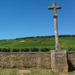 Nel cuore della Borgogna - Gita 2017