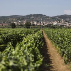 Val di Cornia - Gita
