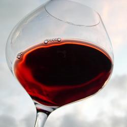 Pinot Nero di Toscana