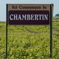 I 9 Grand Cru di Gevrey-Chambertin