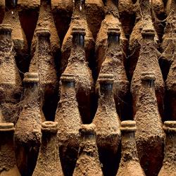 Sherry: Incontri in Terra Andalusa