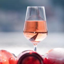 I rosè toscani