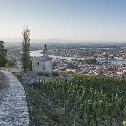 La terra del Syrah e del Viognier: viaggio nel Rodano del Nord