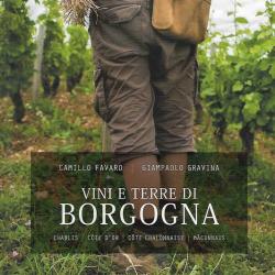 Vini e Terre di Borgogna