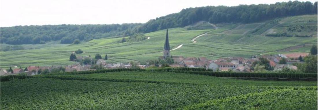Emozioni di Champagne - Seminario