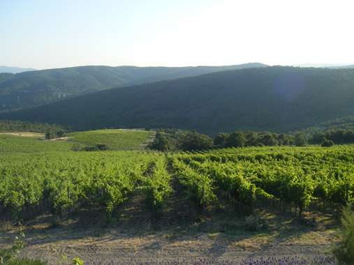 MAREMMA E MONTECUCCO - weekend di degustazione