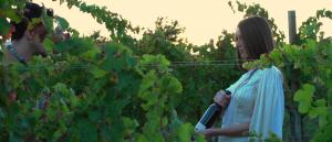 Umbria – Terre De La Custodia