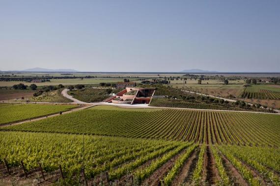 Pranzo alle Tenute Antinori