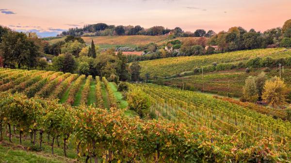 FisarOnTour: Nelle terre dell'Albana