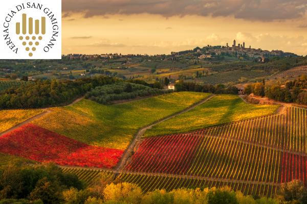 La Vernaccia di San Gimignano: un viaggio fra storia e territorio