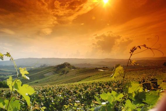 Weekend nelle LANGHE tutto da (de)gustare