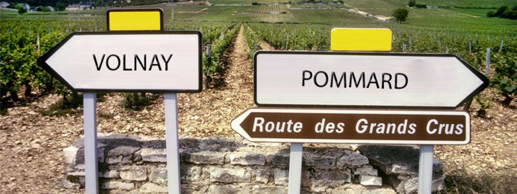 Volnay vs Pommard - gli opposti che attraggono 